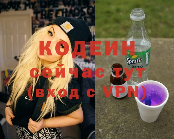 МДПВ Снежногорск